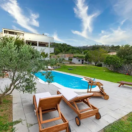 Olive Tree With Secluded Pool - Happy
